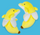 Bandan The Banana Dolphin