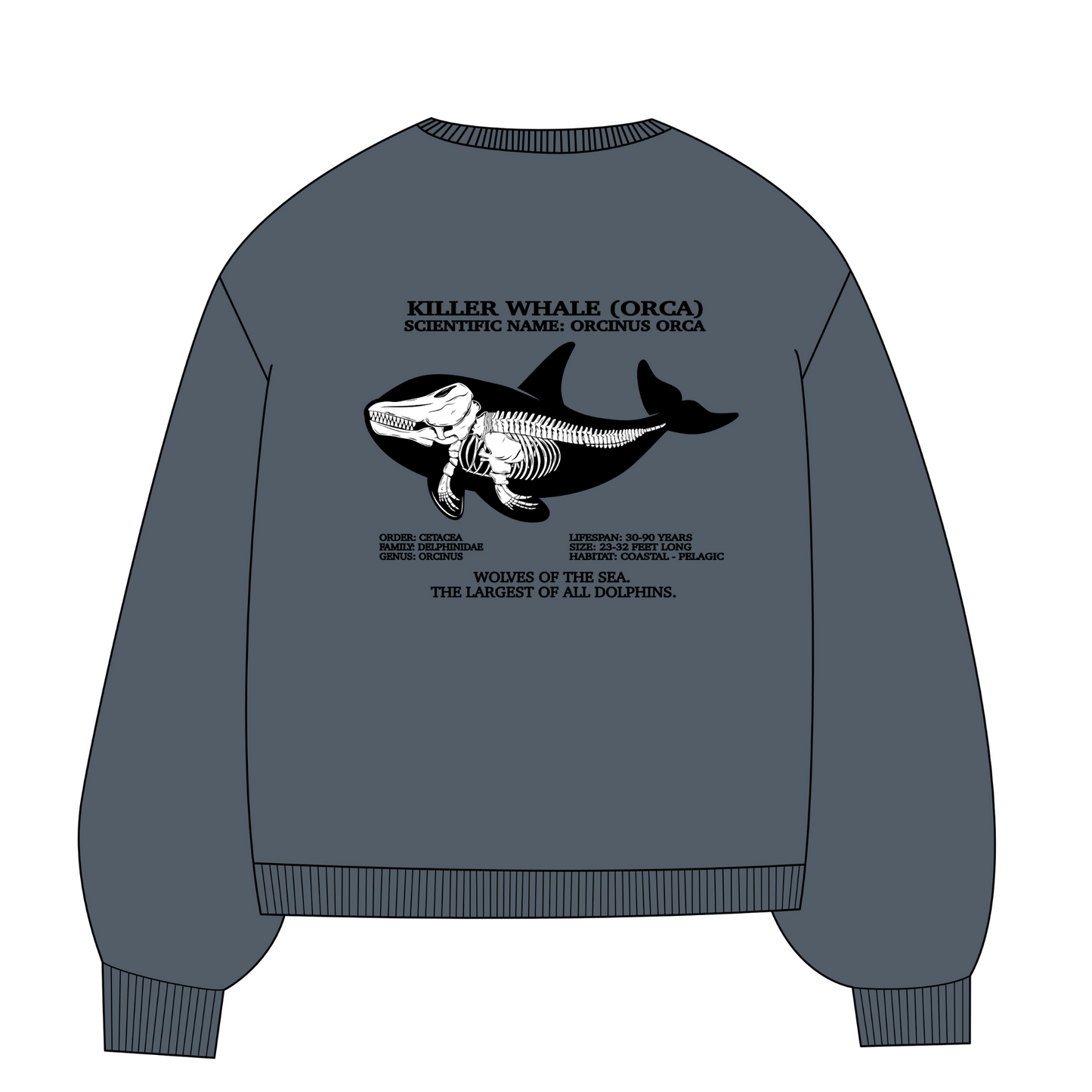 Killer Whale Skeleton Stone Crewneck Sweatshirt
