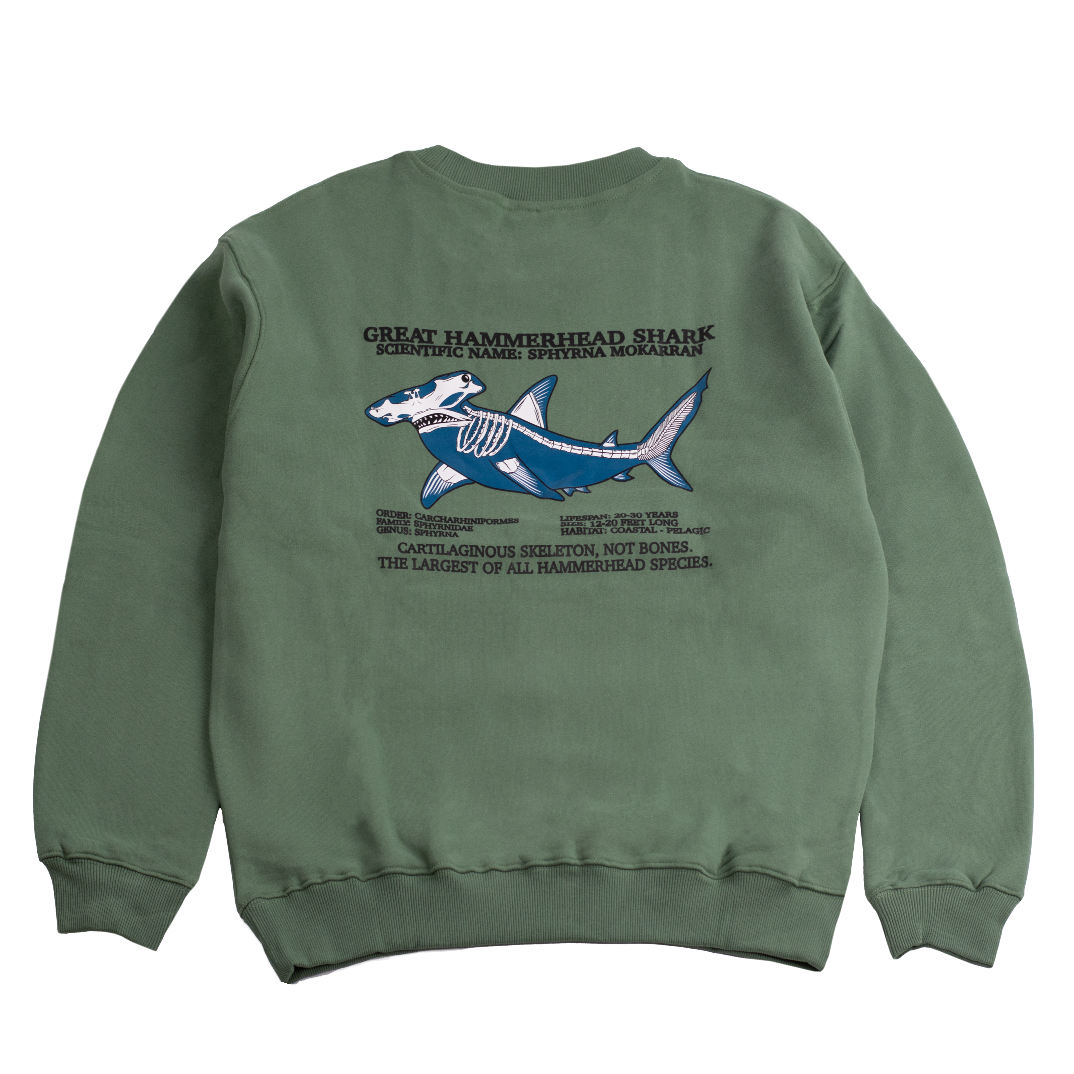 Hammerhead Skeleton Sage Green Crewneck Sweatshirt – 180tide Hammerhead Skeleton Sage Green Crewneck Sweatshirt – 180tide