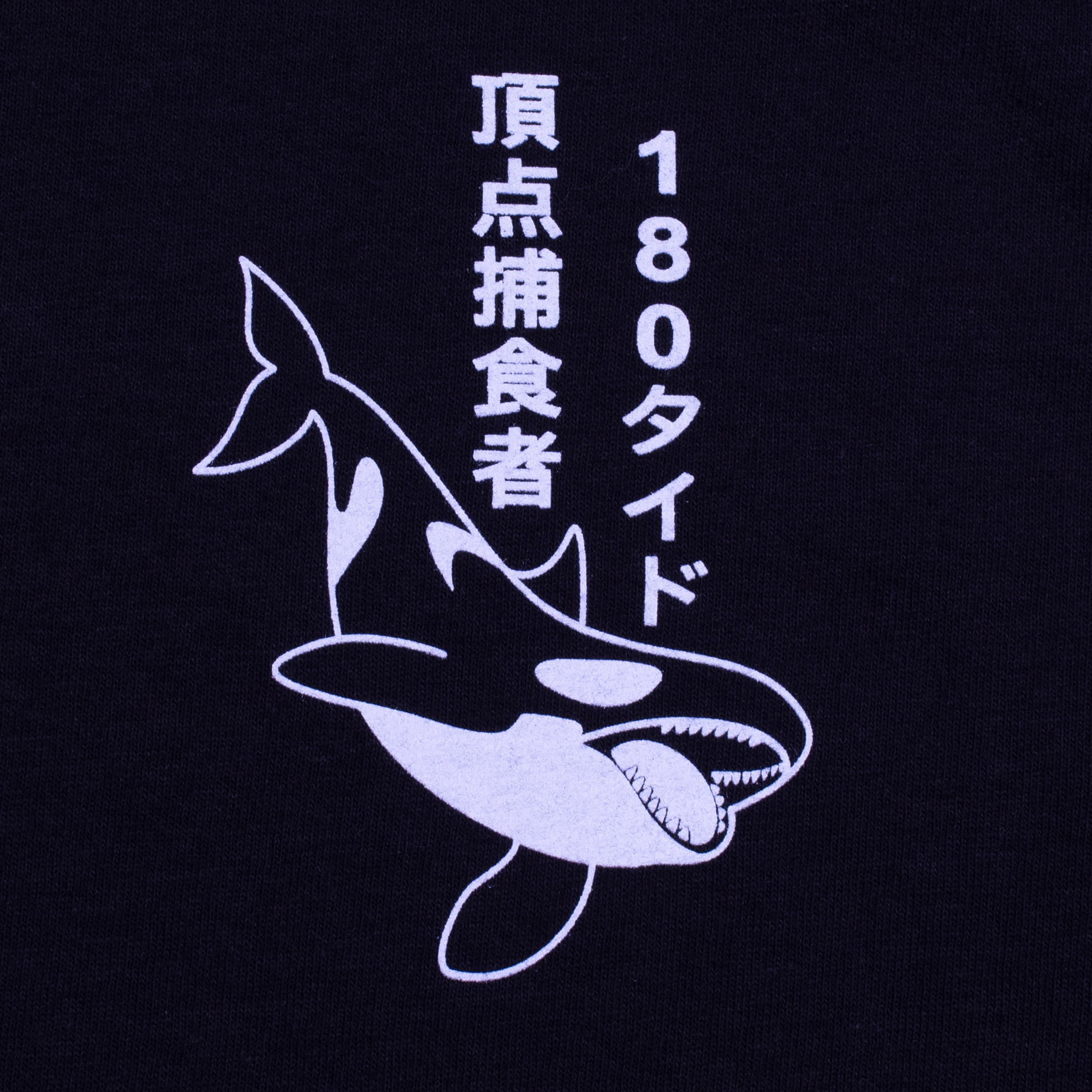 The Apex Predator, Orca Killer Whale Eats Sushi.