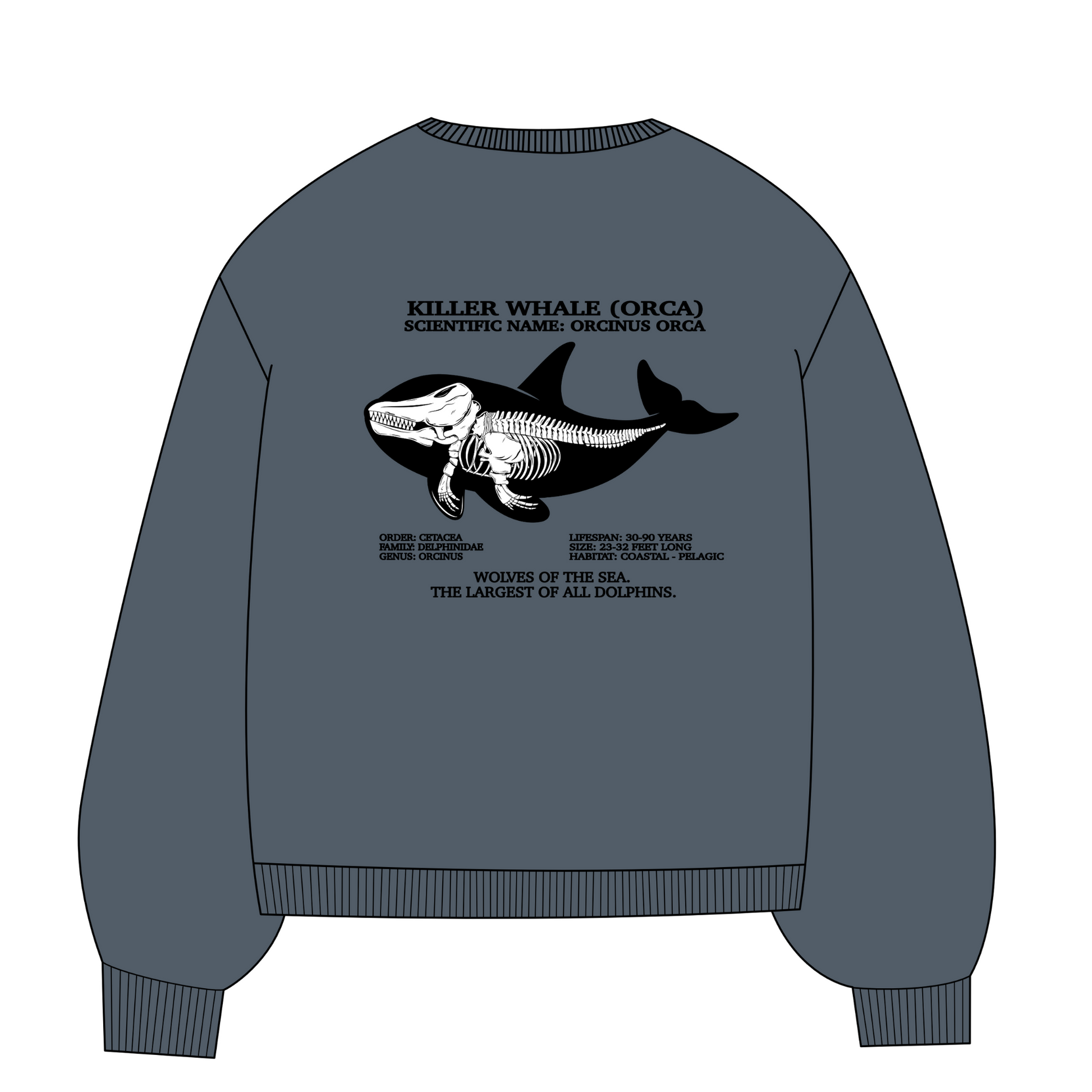 Killer Whale Skeleton Stone Crewneck Sweatshirt