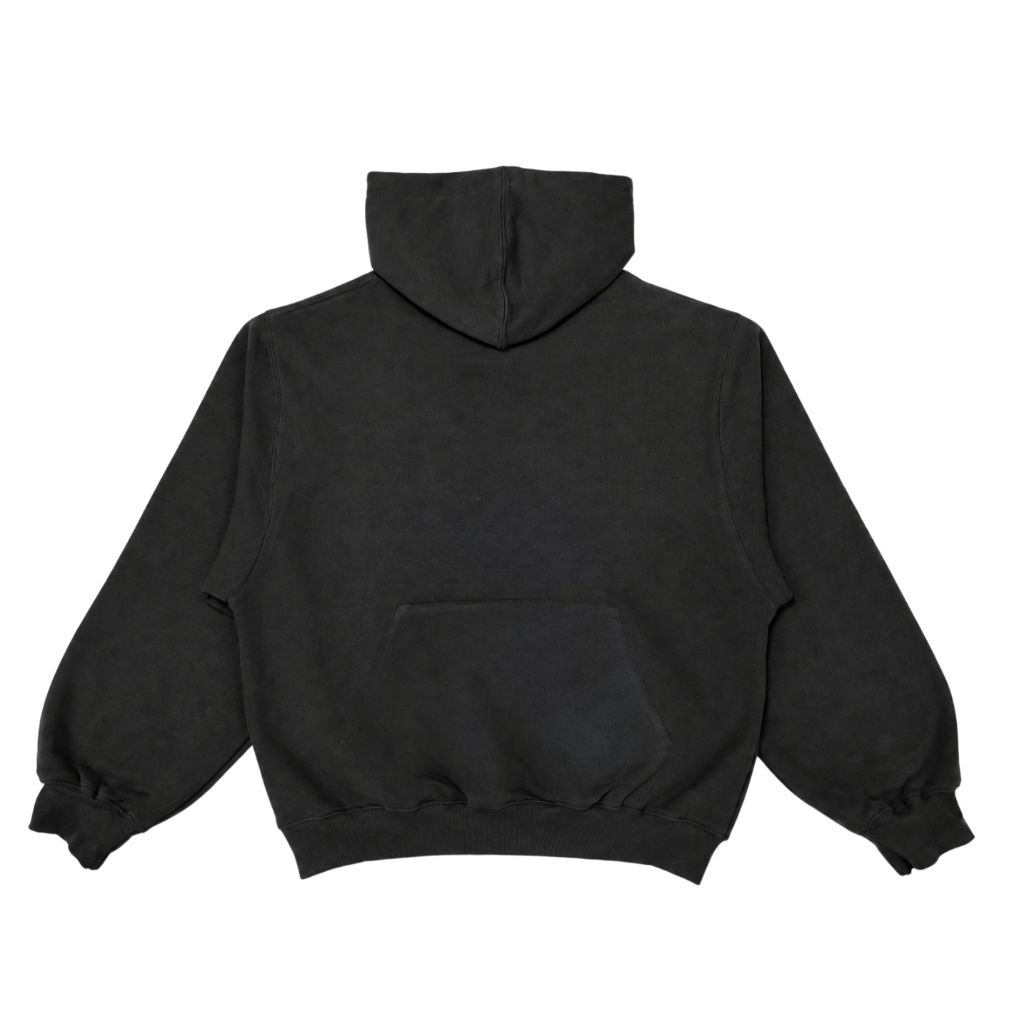 180tide Logo Hoodie in Onyx, back view