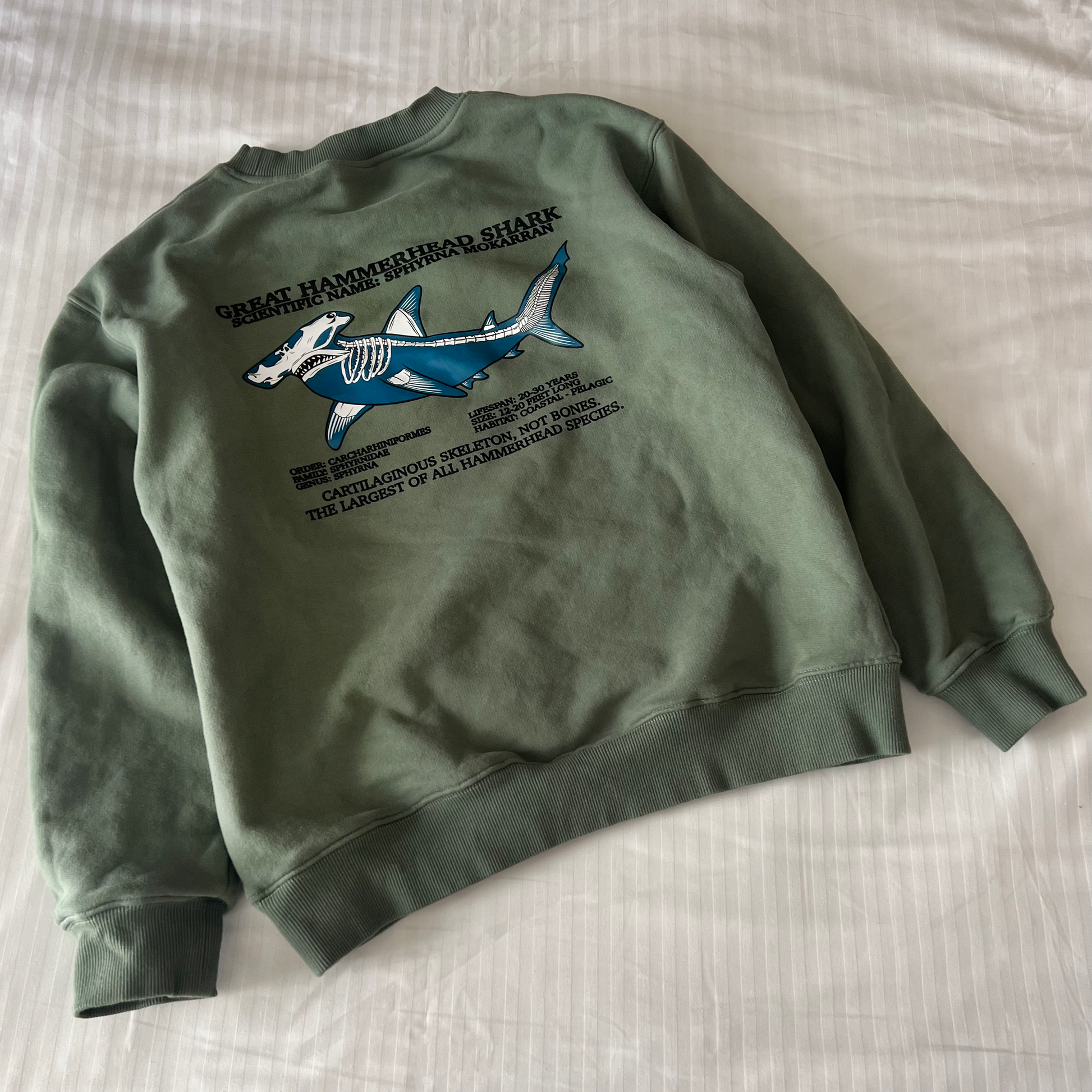 Hammerhead shark hoodie hotsell