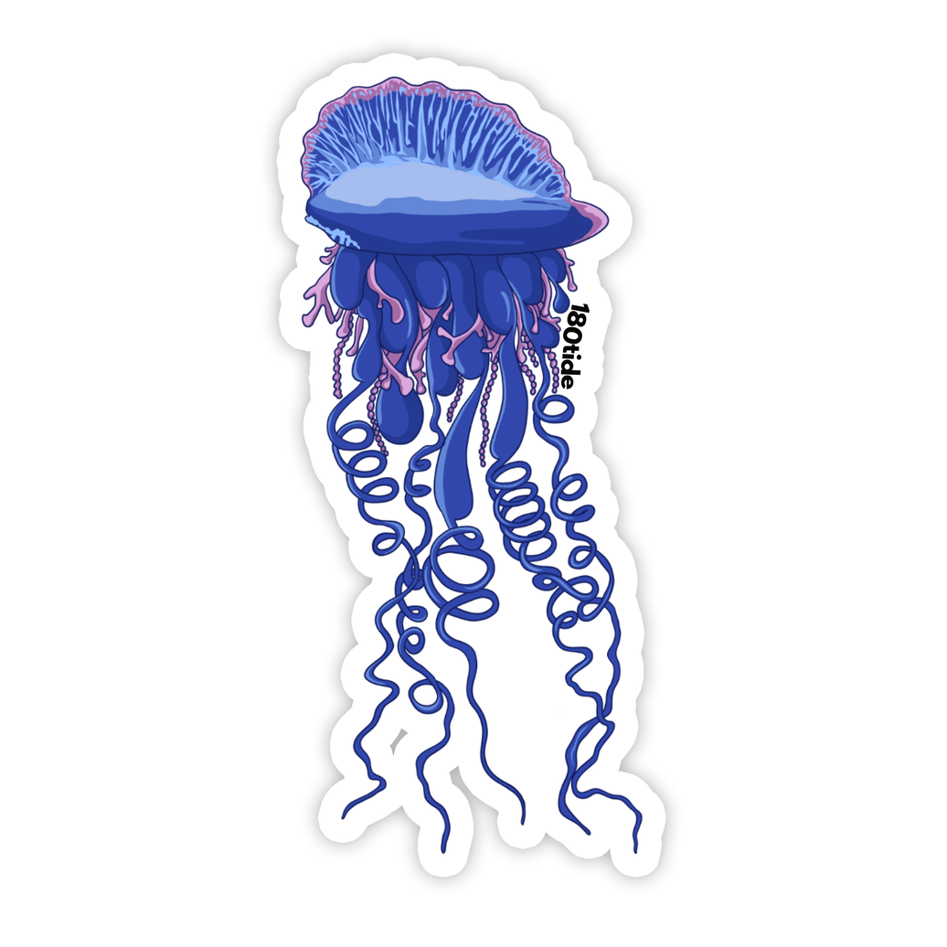 Portuguese Man O' War Sticker