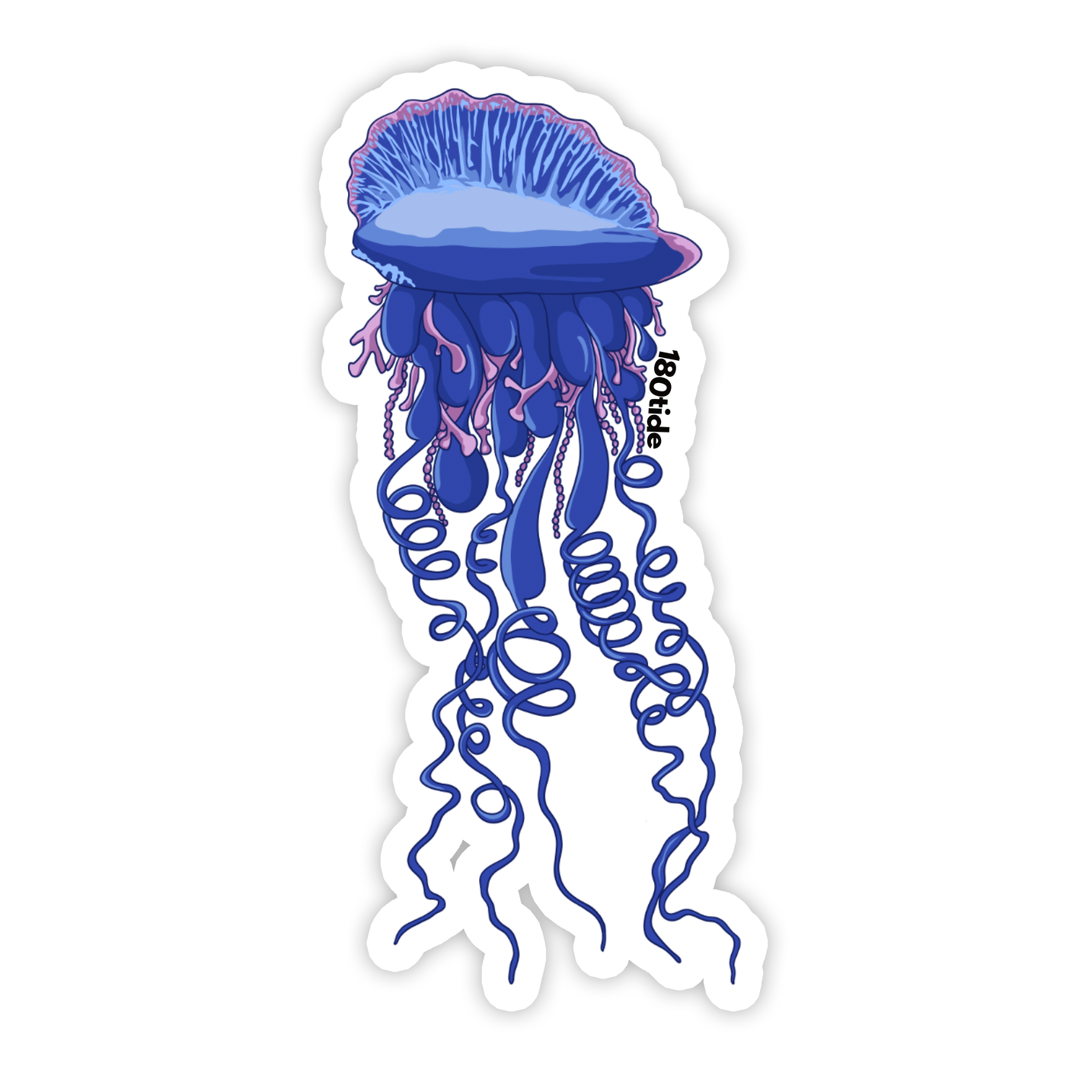 Portuguese Man O' War Sticker