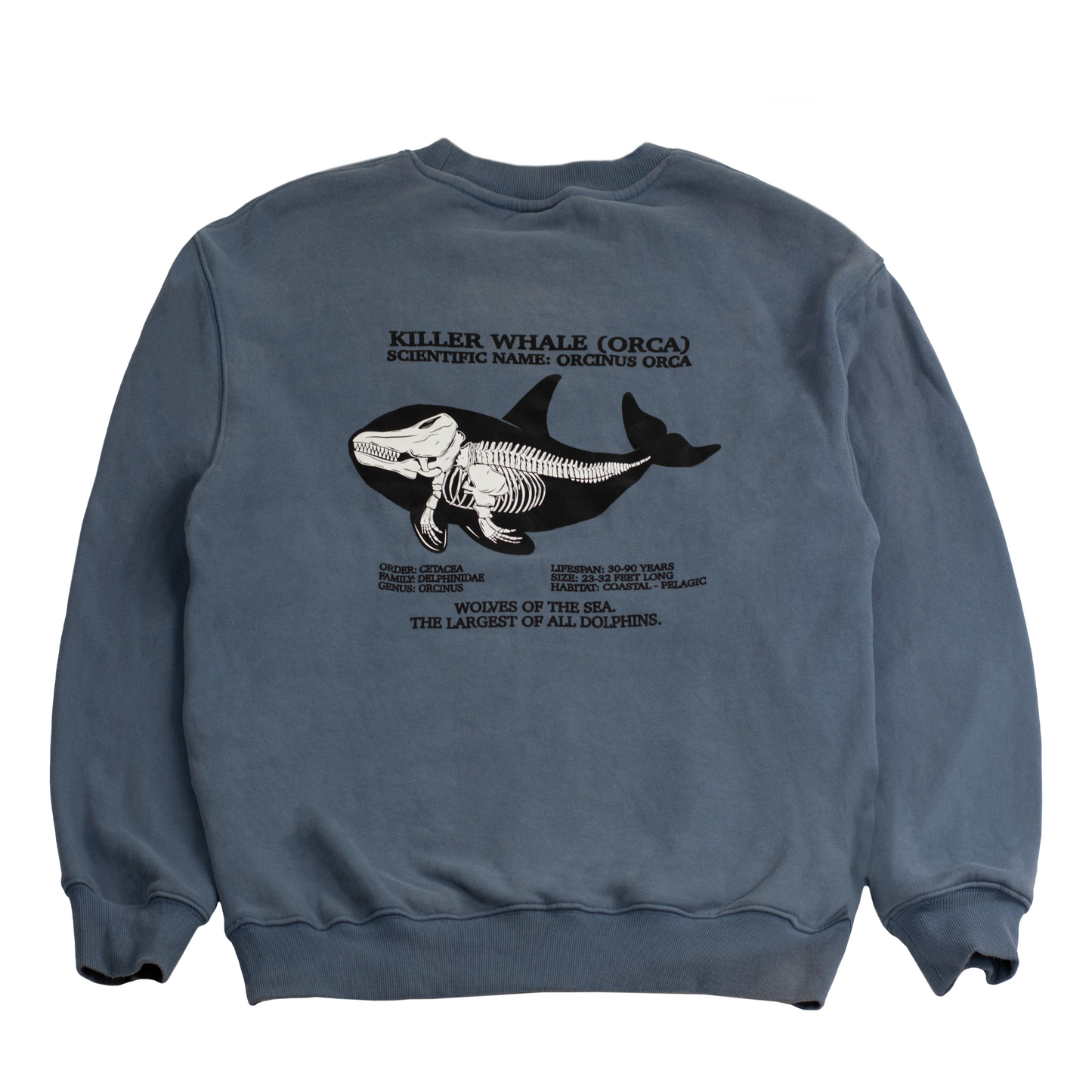 Killer Whale Skeleton Stone Crewneck Sweatshirt