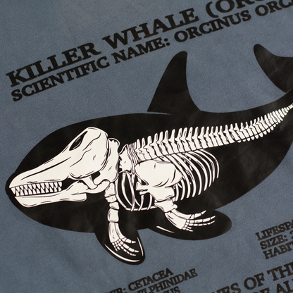 Killer Whale Skeleton Stone Crewneck Sweatshirt