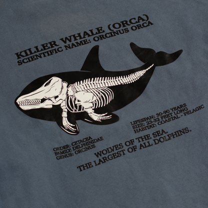 Killer Whale Skeleton Stone Crewneck Sweatshirt