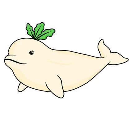 The Turnip Beluga