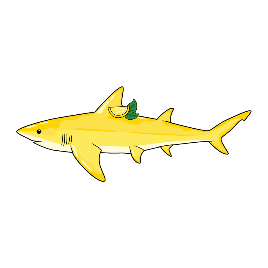 Pucker the Lemon Shark