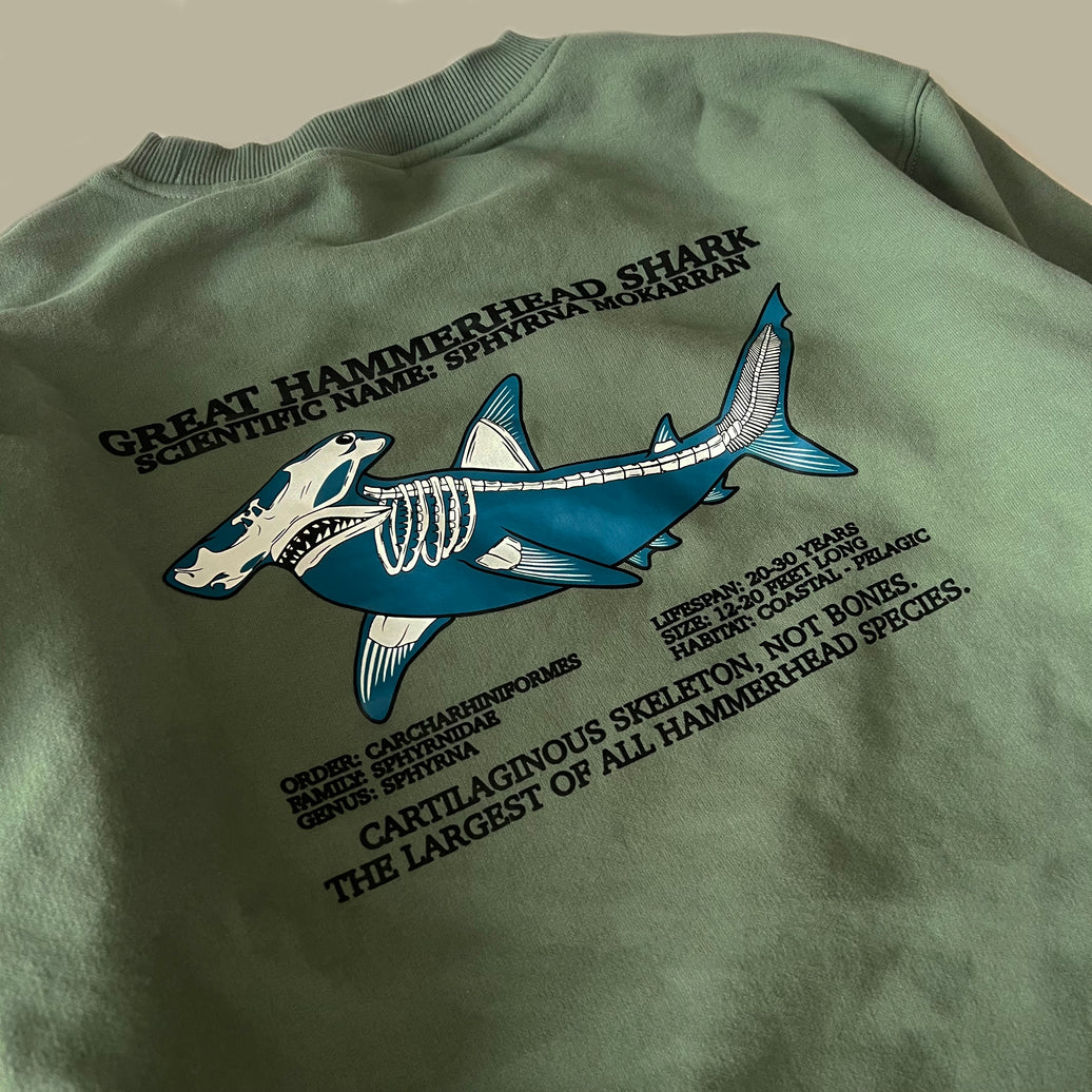 Hammerhead Skeleton Crewneck – Sage Green, back print close-up