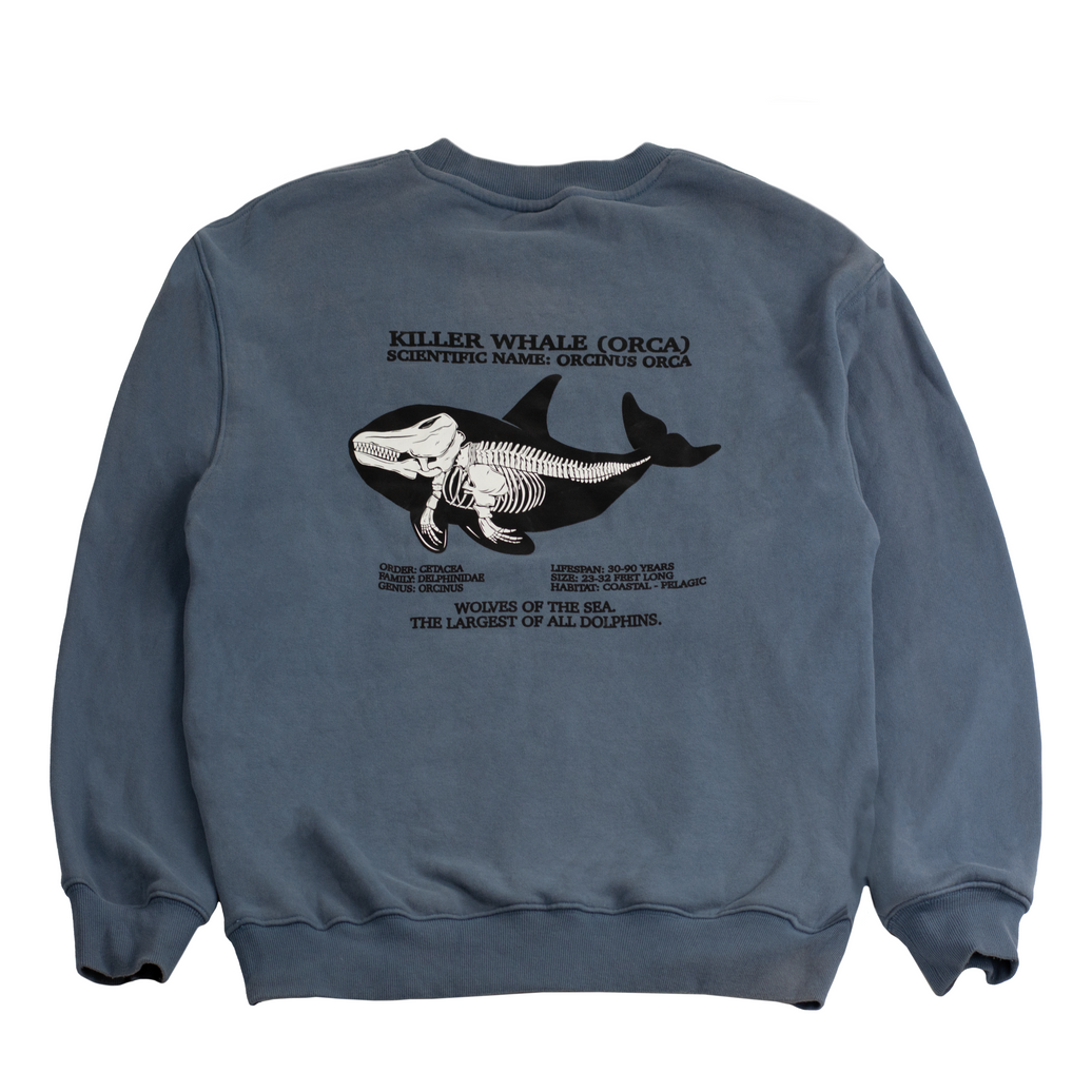 Killer Whale Skeleton Crewneck – Stone, back view