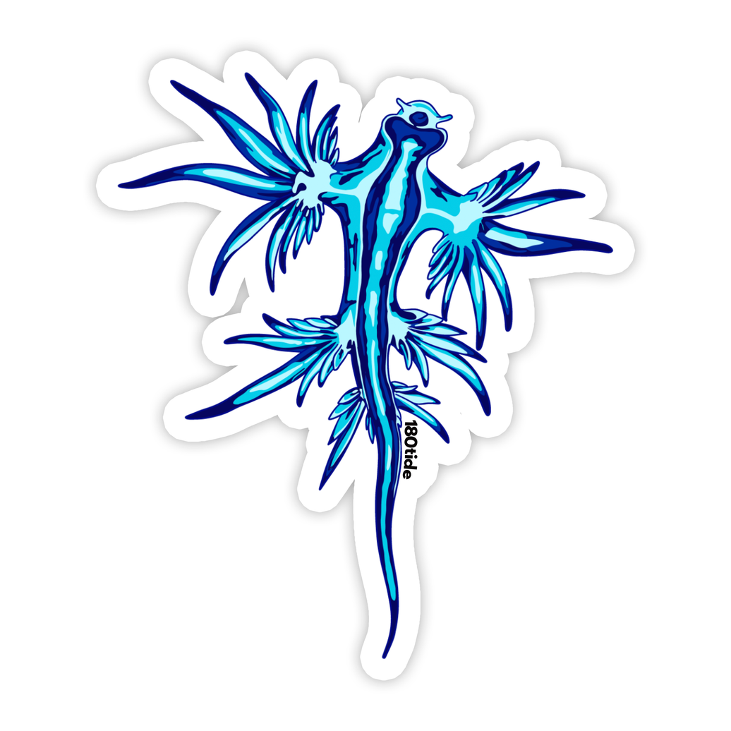 Nudibranch Sticker