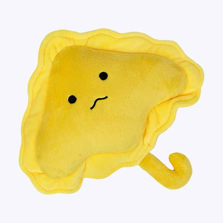 Rava the Ravioli Stingray Plush, front view