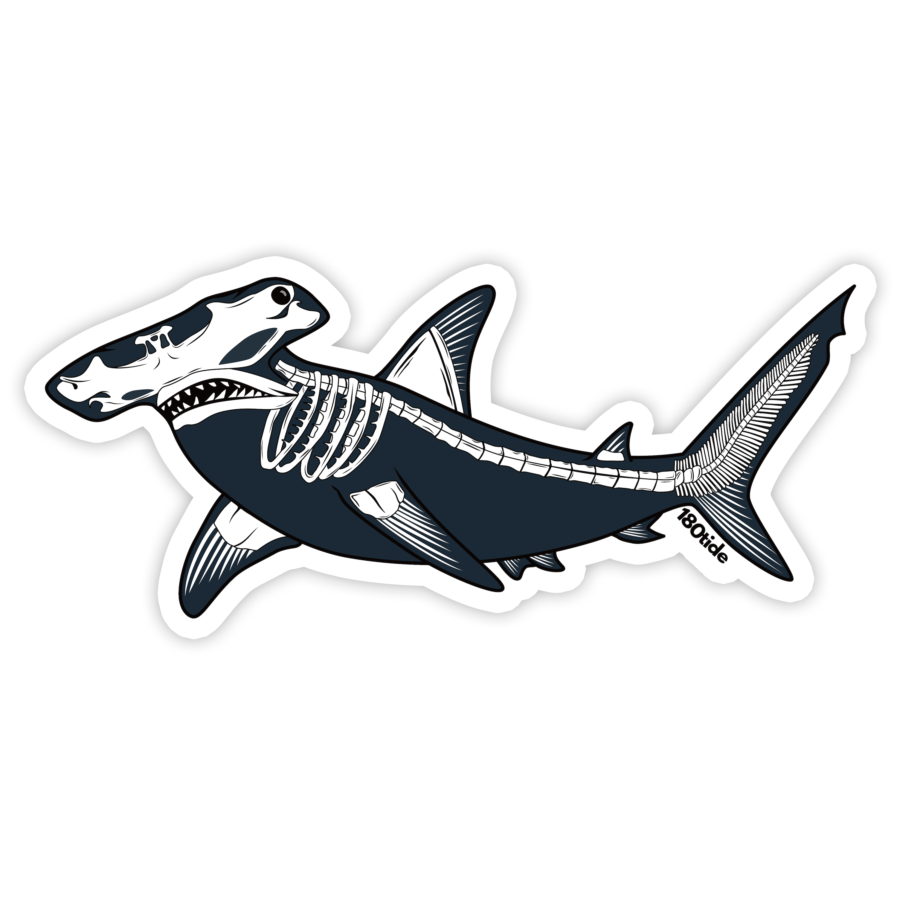 Hammerhead Shark Skeleton Sticker – 180tide