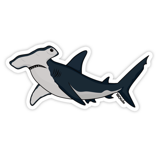 Hammerhead Shark Sticker