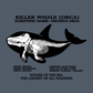 Killer Whale Skeleton Stone Crewneck Sweatshirt