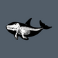 Killer Whale Skeleton Stone Sweatshorts 7"
