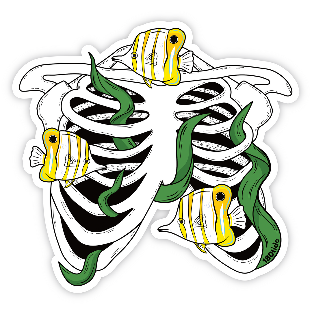 Butterflyfish Skeleton Bones Sticker