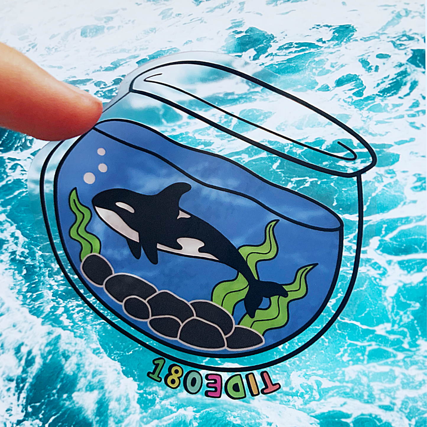 Orca Bowl Clear Sticker